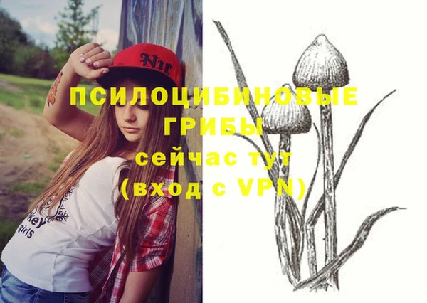 бошки Балахна